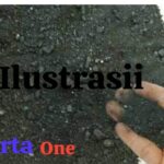 Penampungan Timah Ilegal