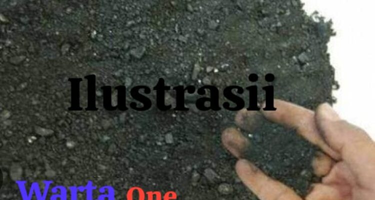 Penampungan Timah Ilegal