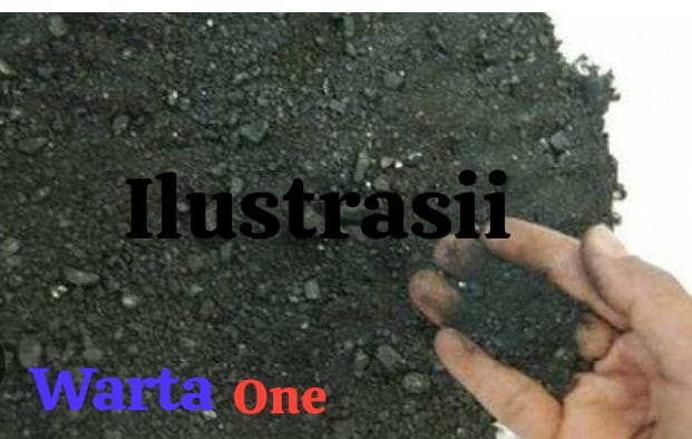 Penampungan Timah Ilegal